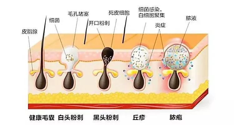 微信圖片_20200708102251.jpg